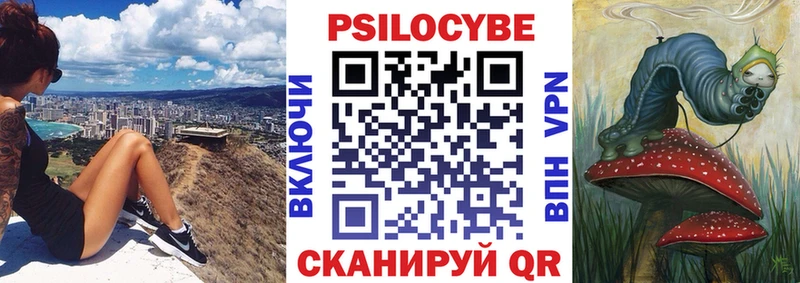 Купить  Избербаш  Псилоцибиновые грибы GOLDEN TEACHER 